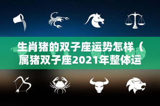 生肖猪的双子座运势怎样（属猪双子座2021年整体运势如何）