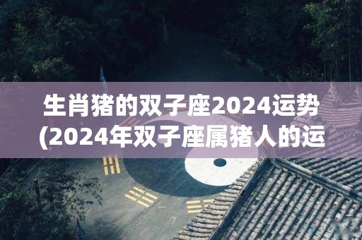 生肖猪的双子座2024运势(2024年双子座属猪人的运程展望)