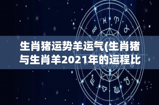 生肖猪运势羊运气(生肖猪与生肖羊2021年的运程比较)