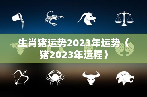 生肖猪运势2023年运势（猪2023年运程）