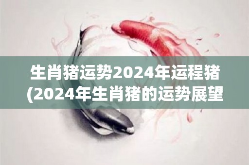 生肖猪运势2024年运程猪(2024年生肖猪的运势展望)