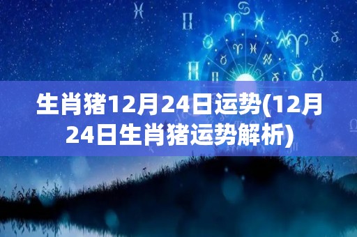 生肖猪12月24日运势(12月24日生肖猪运势解析)