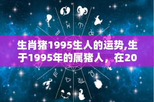 生肖猪1995生人的运势,生于1995年的属猪人，在2021年的运势有所上升