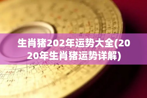 生肖猪202年运势大全(2020年生肖猪运势详解)