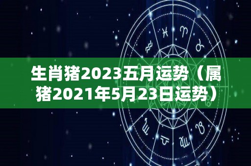 生肖猪2023五月运势（属猪2021年5月23日运势）