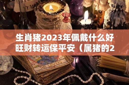 生肖猪2023年佩戴什么好旺财转运保平安（属猪的2021年佩戴什么吉祥）