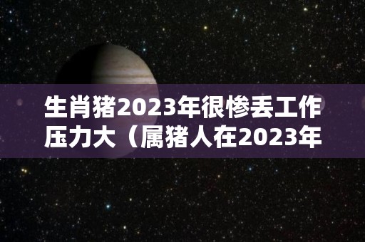 生肖猪2023年很惨丢工作压力大（属猪人在2023年的全年运势）