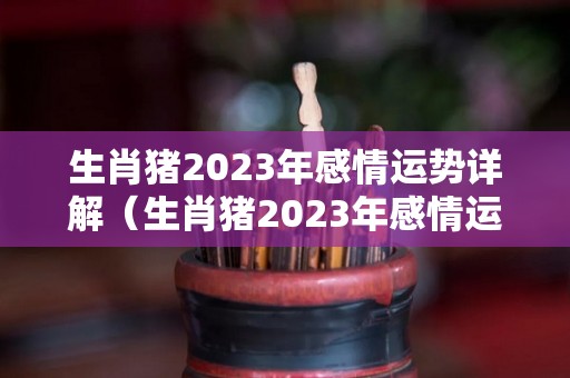 生肖猪2023年感情运势详解（生肖猪2023年感情运势详解视频）