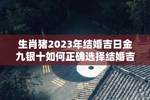 生肖猪2023年结婚吉日金九银十如何正确选择结婚吉日（2023年属猪的适合结婚吗）