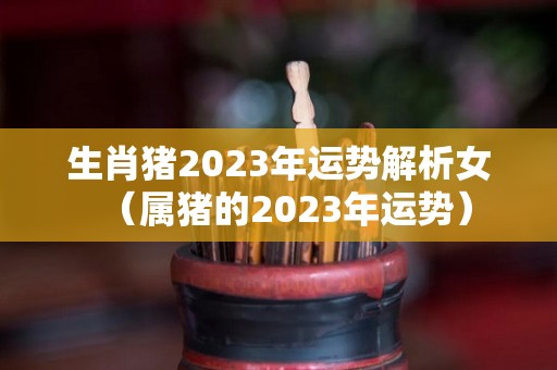 生肖猪2023年运势解析女（属猪的2023年运势）