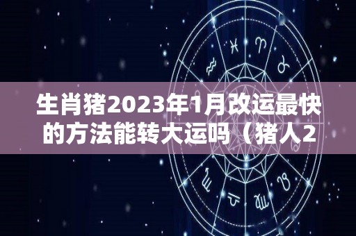 生肖猪2023年1月改运最快的方法能转大运吗（猪人2023年每月运势运程）