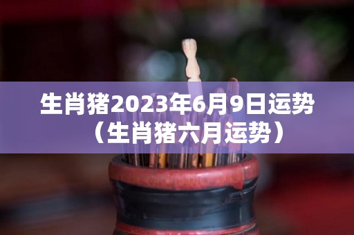 生肖猪2023年6月9日运势（生肖猪六月运势）