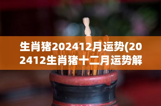 生肖猪202412月运势(202412生肖猪十二月运势解析)