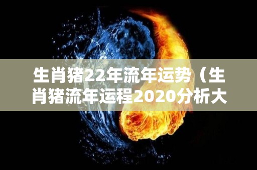 生肖猪22年流年运势（生肖猪流年运程2020分析大全）