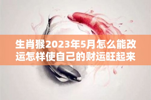 生肖猴2023年5月怎么能改运怎样使自己的财运旺起来（猴在2023年运势大家找算命网）