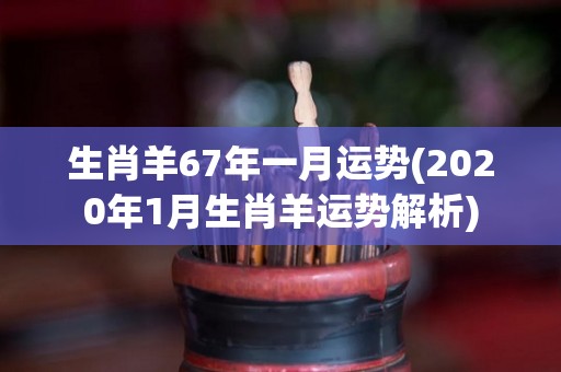 生肖羊67年一月运势(2020年1月生肖羊运势解析)