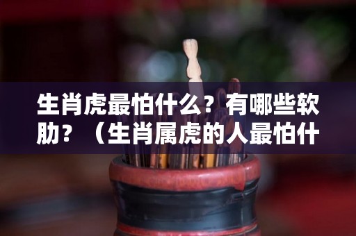 生肖虎最怕什么？有哪些软肋？（生肖属虎的人最怕什么）