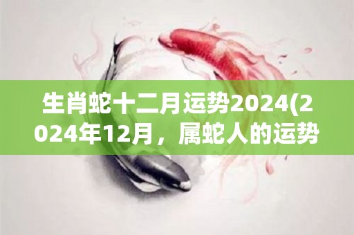 生肖蛇十二月运势2024(2024年12月，属蛇人的运势如何？)