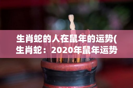 生肖蛇的人在鼠年的运势(生肖蛇：2020年鼠年运势大揭密)