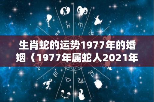 生肖蛇的运势1977年的婚姻（1977年属蛇人2021年运势）