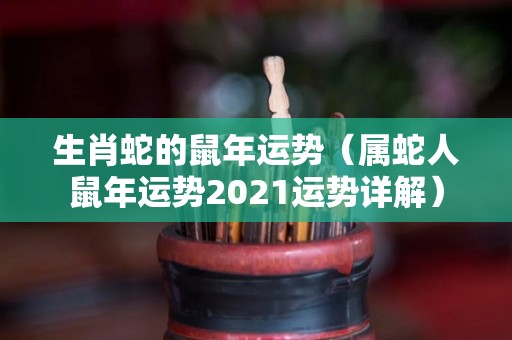 生肖蛇的鼠年运势（属蛇人鼠年运势2021运势详解）