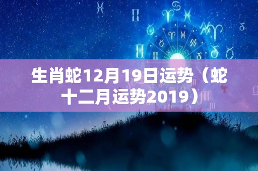 生肖蛇12月19日运势（蛇十二月运势2019）