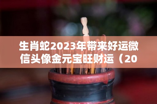 生肖蛇2023年带来好运微信头像金元宝旺财运（2020年属蛇的微信头像好运）