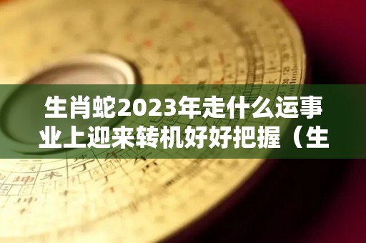 生肖蛇2023年走什么运事业上迎来转机好好把握（生肖蛇2023年全年运势）