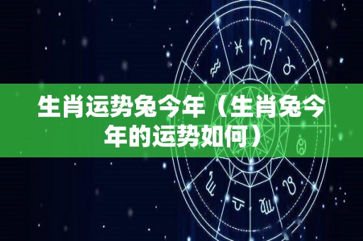 生肖运势兔今年（生肖兔今年的运势如何）