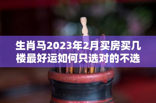 生肖马2023年2月买房买几楼最好运如何只选对的不选贵的（属马2023年）