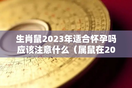 生肖鼠2023年适合怀孕吗应该注意什么（属鼠在2023年怎么样）