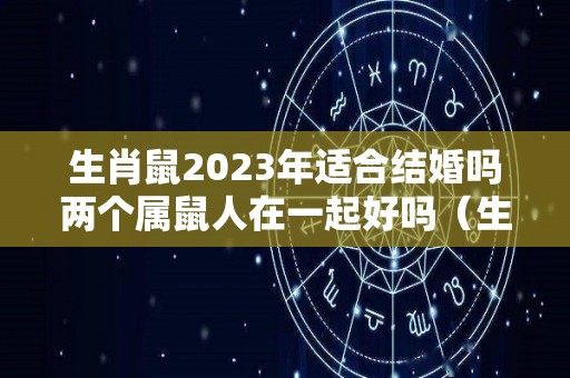 生肖鼠2023年适合结婚吗两个属鼠人在一起好吗（生肖鼠在2023兔年好吗?）