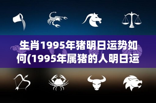 生肖1995年猪明日运势如何(1995年属猪的人明日运势如何？)