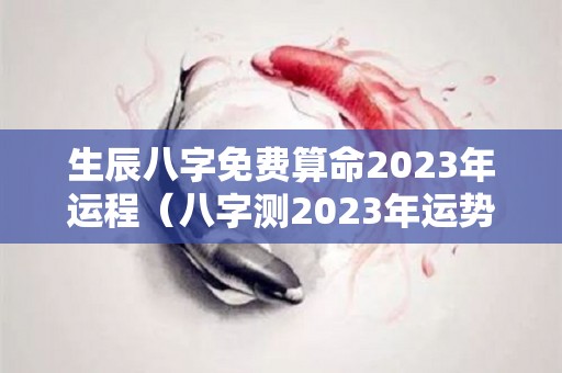 生辰八字免费算命2023年运程（八字测2023年运势）