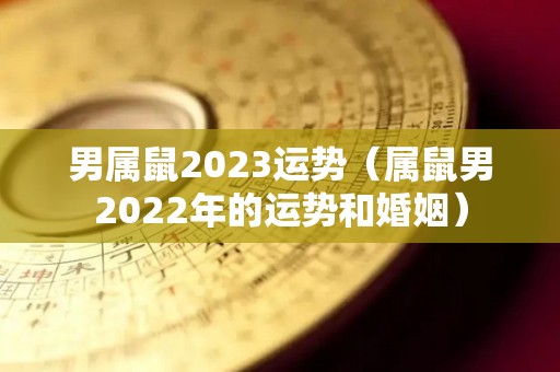 男属鼠2023运势（属鼠男2022年的运势和婚姻）