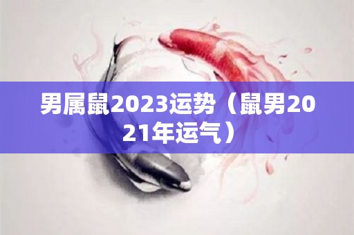 男属鼠2023运势（鼠男2021年运气）