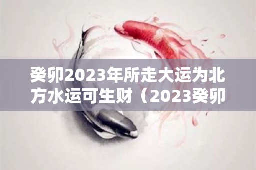 癸卯2023年所走大运为北方水运可生财（2023癸卯流年）