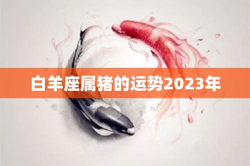 白羊座属猪的运势2023年