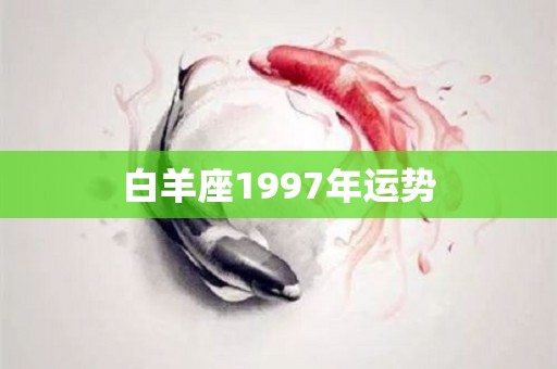 白羊座1997年运势