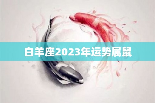 白羊座2023年运势属鼠