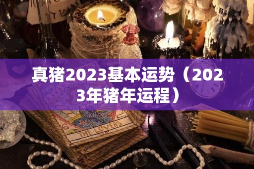 真猪2023基本运势（2023年猪年运程）