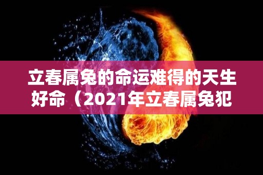 立春属兔的命运难得的天生好命（2021年立春属兔犯太岁吗）