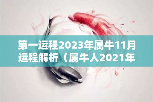 第一运程2023年属牛11月运程解析（属牛人2021年11月运势详解）