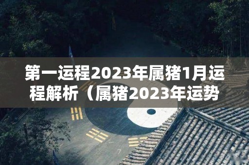 第一运程2023年属猪1月运程解析（属猪2023年运势第一运势）