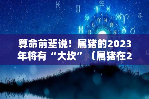 算命前辈说！属猪的2023年将有“大坎”（属猪在2023年运势怎么样）