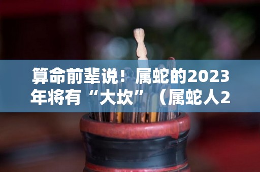 算命前辈说！属蛇的2023年将有“大坎”（属蛇人2023年命运）