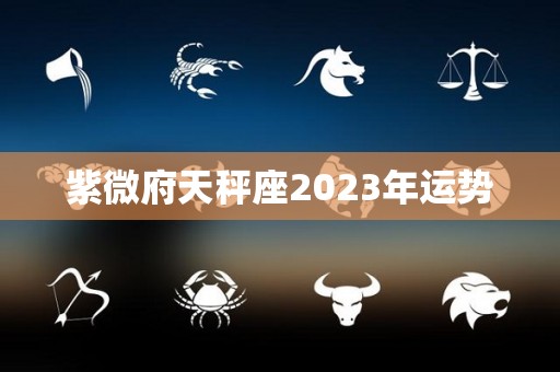 紫微府天秤座2023年运势