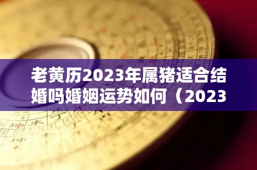 老黄历2023年属猪适合结婚吗婚姻运势如何（2023年属猪百年难遇）