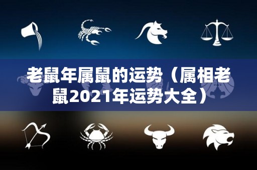 老鼠年属鼠的运势（属相老鼠2021年运势大全）