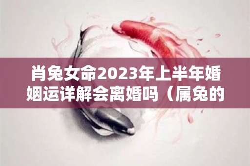 肖兔女命2023年上半年婚姻运详解会离婚吗（属兔的2023年运势如何 女性）